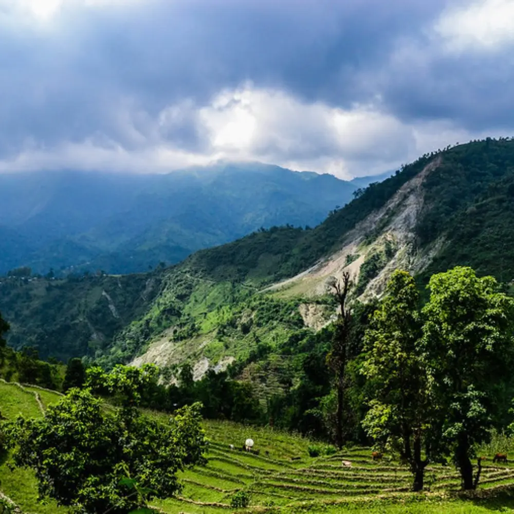 Grand West Bengal Explorer with green hills, cloudy sky, mountain valley and scenic North Bengal nature landscape