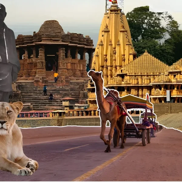 Gujarat tourism collage featuring Statue of Unity, Somnath Temple, heritage sites, camel safari and Gir lion