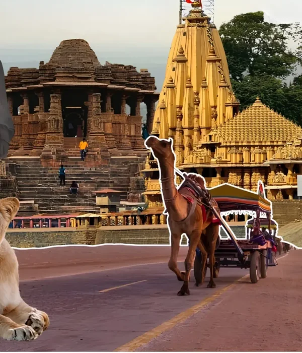 Gujarat tourism collage featuring Statue of Unity, Somnath Temple, heritage sites, camel safari and Gir lion