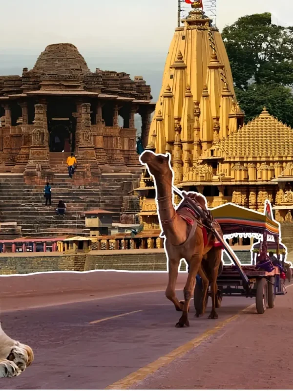 Gujarat tourism collage featuring Statue of Unity, Somnath Temple, heritage sites, camel safari and Gir lion