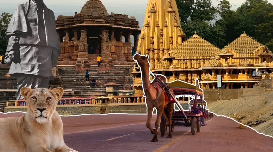 Gujarat tourism collage featuring Statue of Unity, Somnath Temple, heritage sites, camel safari and Gir lion