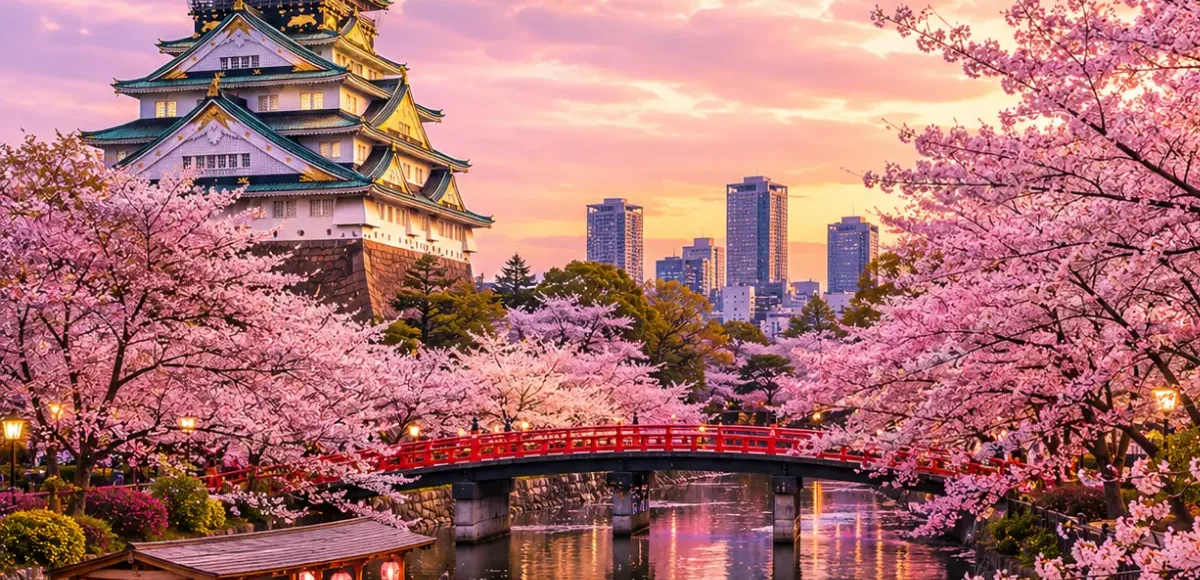Luxury Japan Cherry Blossom Season featuring Osaka Castle surrounded by vibrant pink sakura trees, a tranquil river with a traditional sightseeing boat, a red Japanese bridge, and a glowing spring sunset. No people.