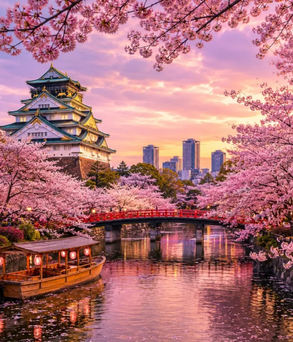 Luxury Japan Cherry Blossom Season featuring Osaka Castle surrounded by vibrant pink sakura trees, a tranquil river with a traditional sightseeing boat, a red Japanese bridge, and a glowing spring sunset. No people.
