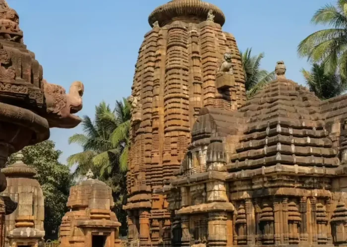 Odisha Heritage and Tribal Tour image featuring ancient temple architecture, stone carvings and cultural landmarks