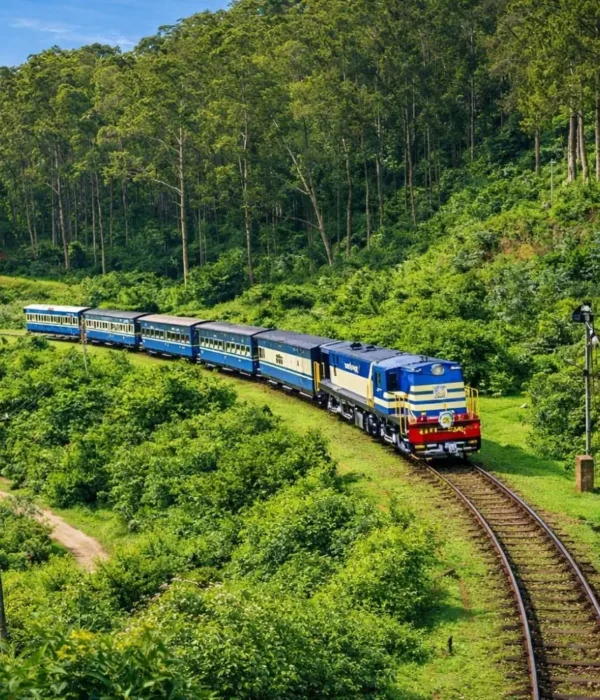 Scenic Ooty and Kodaikanal tour image featuring a blue hill train passing through lush green forest landscapes