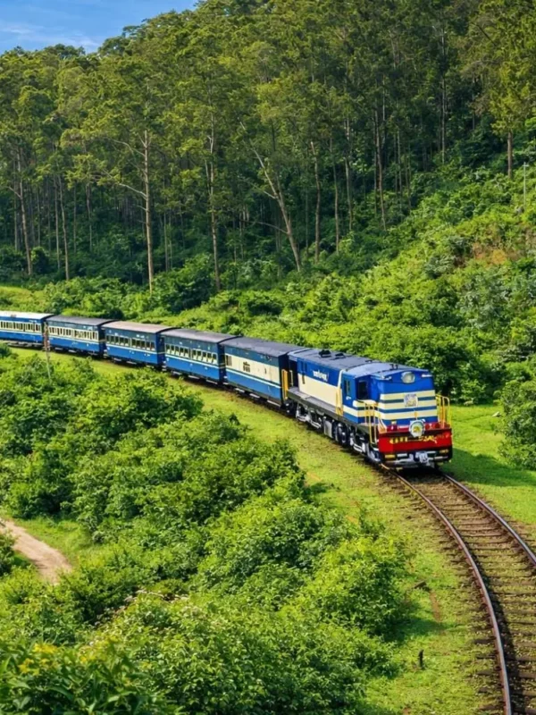Scenic Ooty and Kodaikanal tour image featuring a blue hill train passing through lush green forest landscapes
