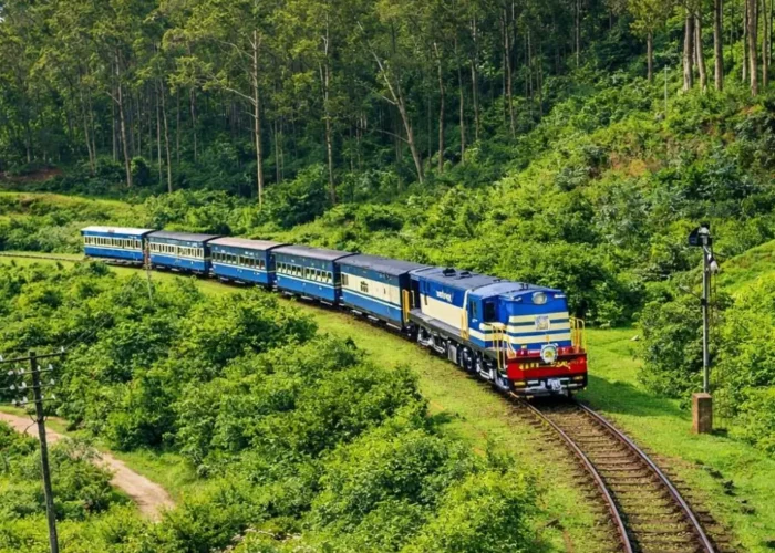 Scenic Ooty and Kodaikanal tour image featuring a blue hill train passing through lush green forest landscapes