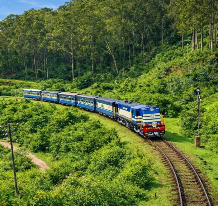 Scenic Ooty and Kodaikanal tour image featuring a blue hill train passing through lush green forest landscapes