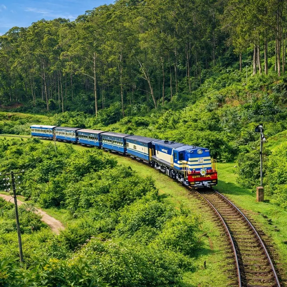 Scenic Ooty and Kodaikanal tour image featuring a blue hill train passing through lush green forest landscapes