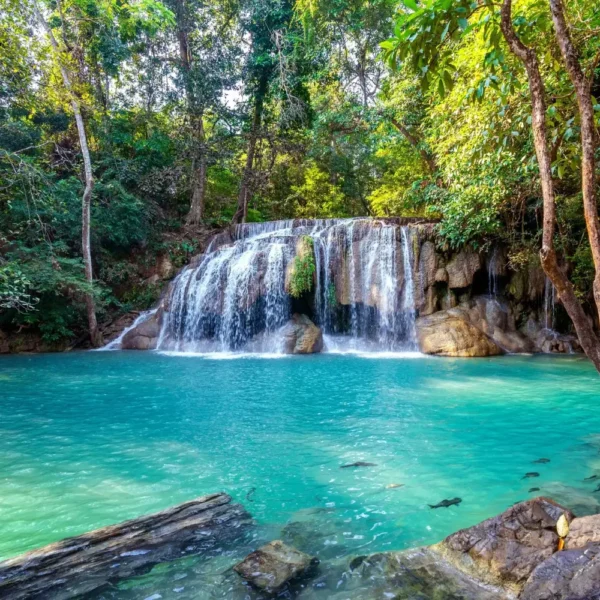 Pachmarhi hill station package image featuring a scenic waterfall and turquoise natural pool surrounded by lush forest