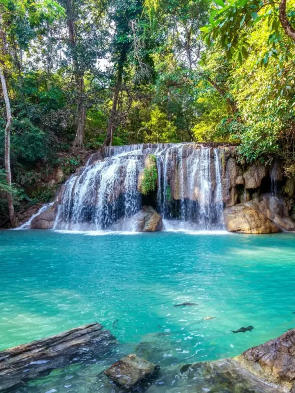 Pachmarhi hill station package image featuring a scenic waterfall and turquoise natural pool surrounded by lush forest