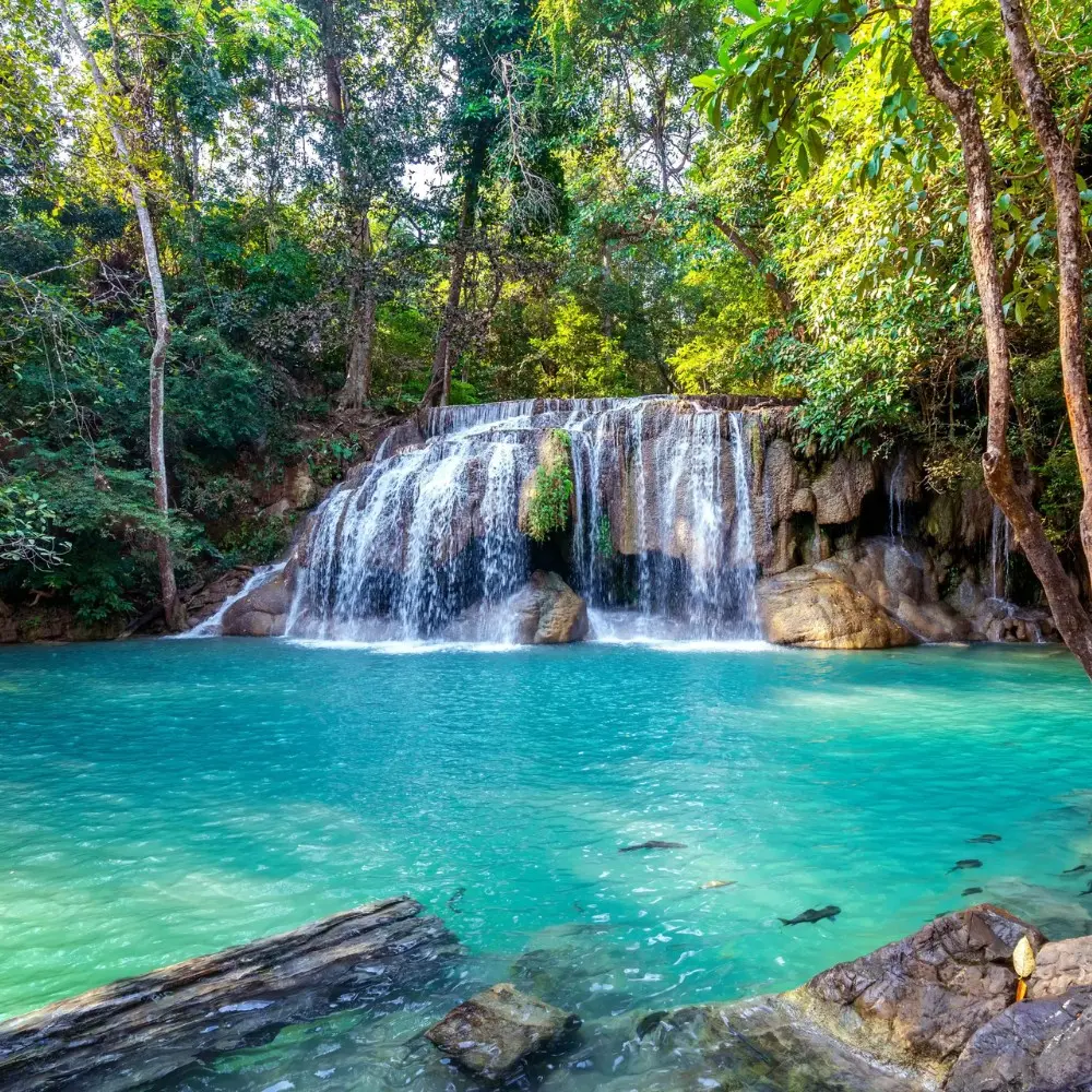 Pachmarhi hill station package image featuring a scenic waterfall and turquoise natural pool surrounded by lush forest