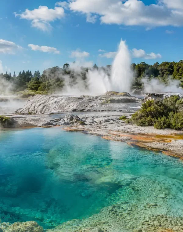 Bright daytime view of Rotorua geothermal pools with turquoise water, steam vents, geyser, and native greenery.