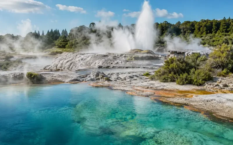Bright daytime view of Rotorua geothermal pools with turquoise water, steam vents, geyser, and native greenery.
