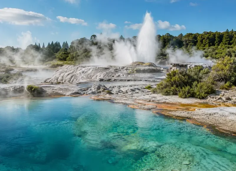 Bright daytime view of Rotorua geothermal pools with turquoise water, steam vents, geyser, and native greenery.
