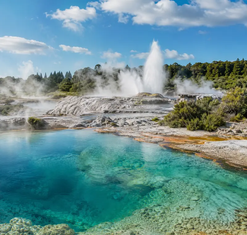 Bright daytime view of Rotorua geothermal pools with turquoise water, steam vents, geyser, and native greenery.
