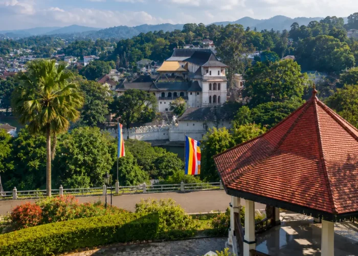 Kandy Sri Lanka with luxury hill resort, tea gardens, misty green mountains, and bright morning tropical atmosphere.