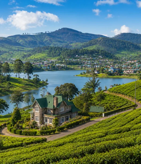 Nuwara Eliya Sri Lanka with tea plantations, colonial charm, green hills, and bright morning hill-country atmosphere.