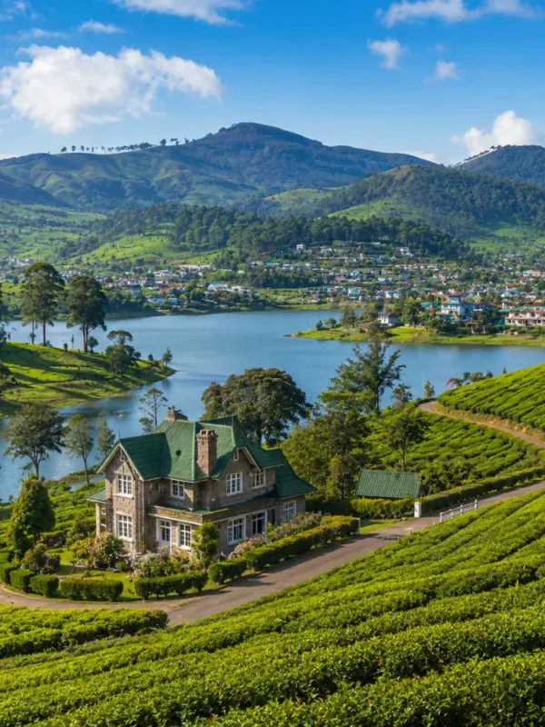 Nuwara Eliya Sri Lanka with tea plantations, colonial charm, green hills, and bright morning hill-country atmosphere.