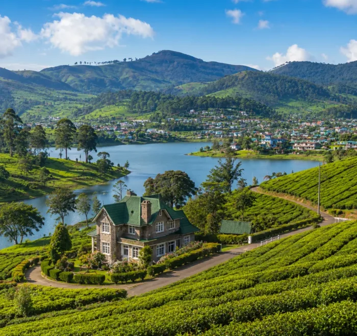 Nuwara Eliya Sri Lanka with tea plantations, colonial charm, green hills, and bright morning hill-country atmosphere.