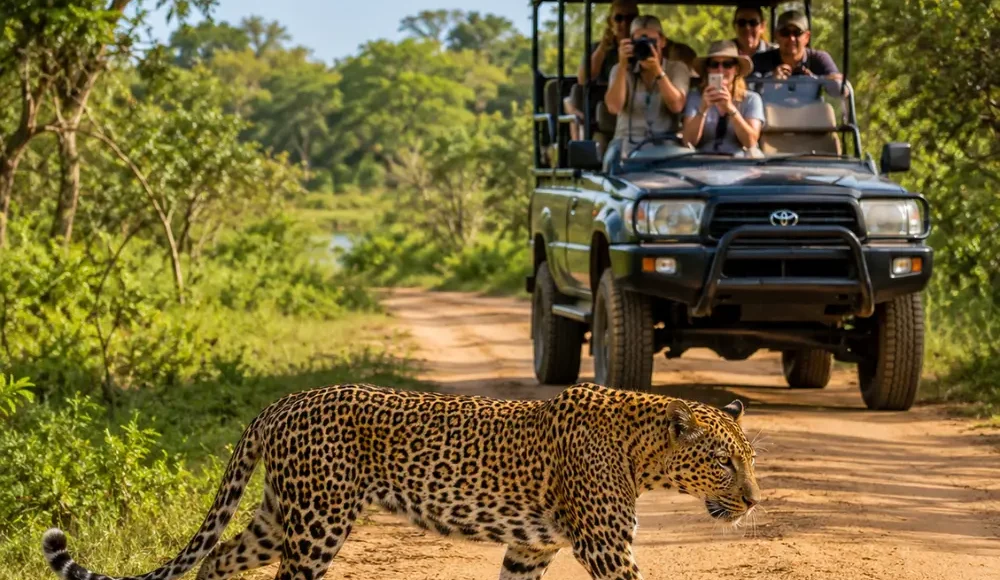 Yala National Park safari in Sri Lanka with a rugged jeep, wild grasslands, jungle scenery, and bright morning light.