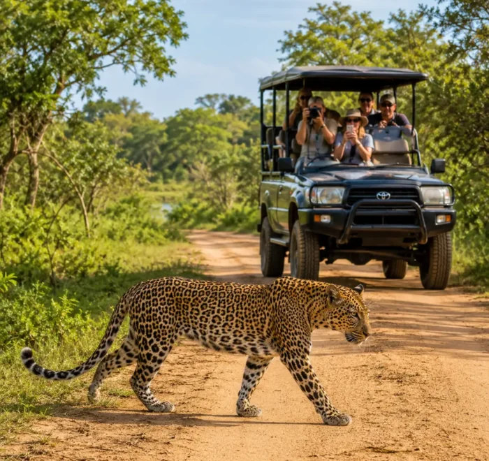 Yala National Park safari in Sri Lanka with a rugged jeep, wild grasslands, jungle scenery, and bright morning light.