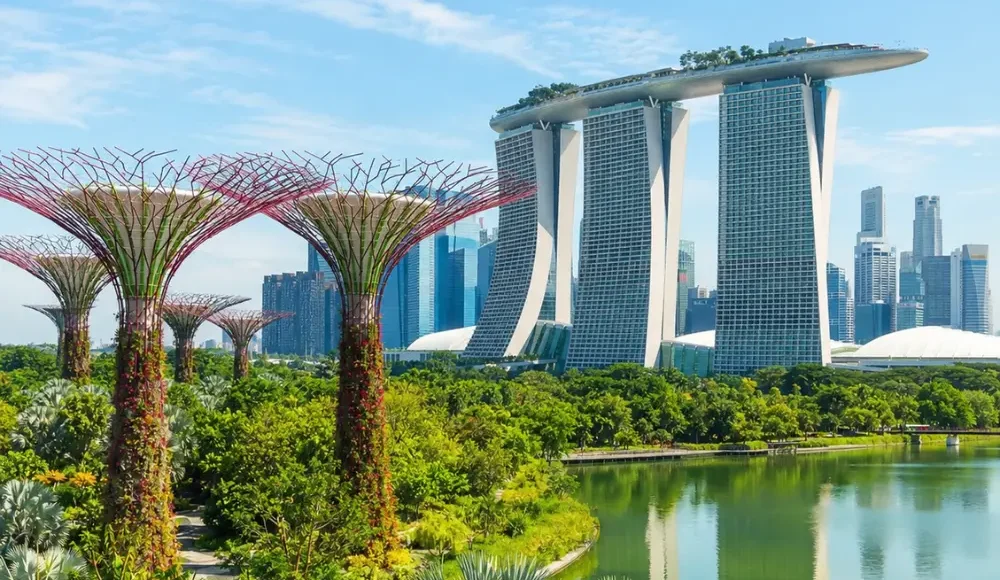 Marina Bay and Gardens by the Bay in Singapore with Supertree Grove, waterfront skyline, and clear morning light.
