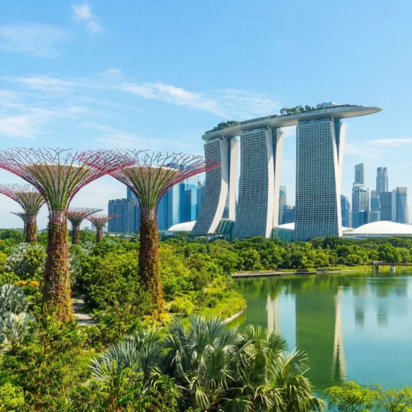 Marina Bay and Gardens by the Bay in Singapore with Supertree Grove, waterfront skyline, and clear morning light.