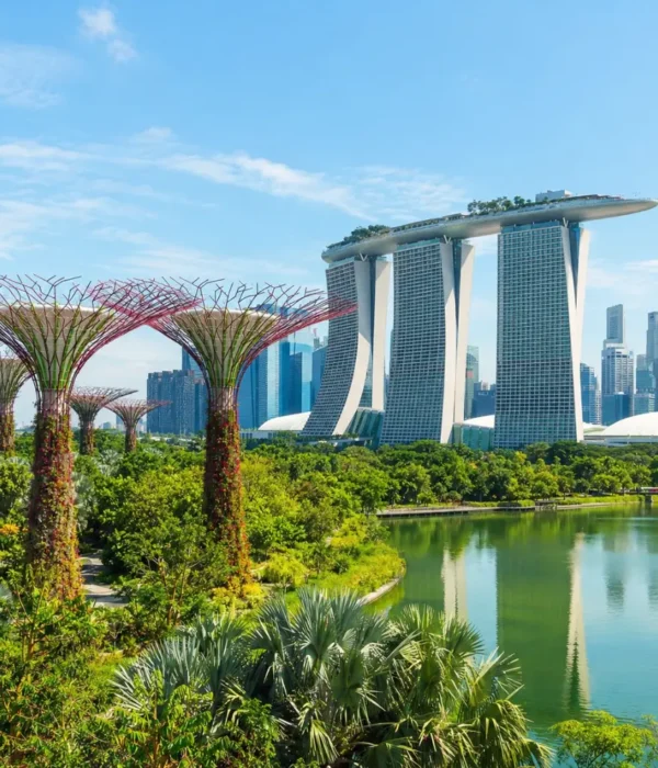 Marina Bay and Gardens by the Bay in Singapore with Supertree Grove, waterfront skyline, and clear morning light.