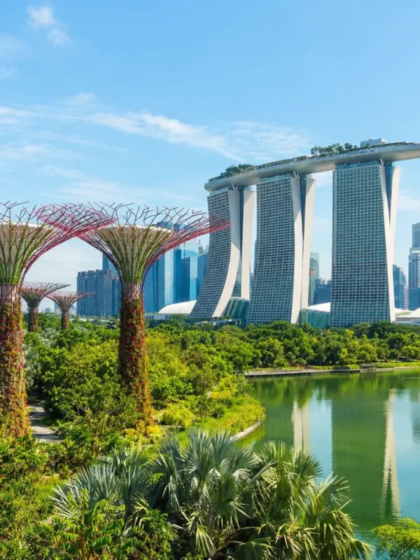Marina Bay and Gardens by the Bay in Singapore with Supertree Grove, waterfront skyline, and clear morning light.