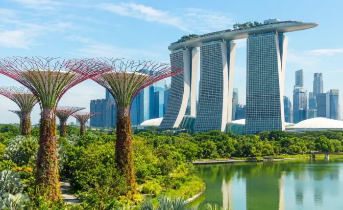 Marina Bay and Gardens by the Bay in Singapore with Supertree Grove, waterfront skyline, and clear morning light.