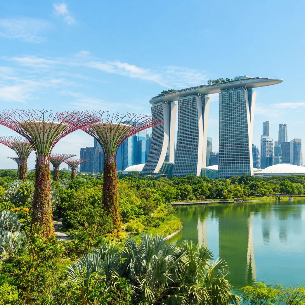 Marina Bay and Gardens by the Bay in Singapore with Supertree Grove, waterfront skyline, and clear morning light.