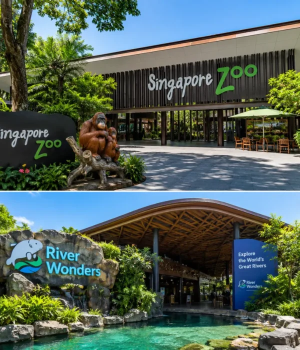 Singapore Zoo and River Wonders with lush rainforest greenery, calm waterways, and premium wildlife park atmosphere.