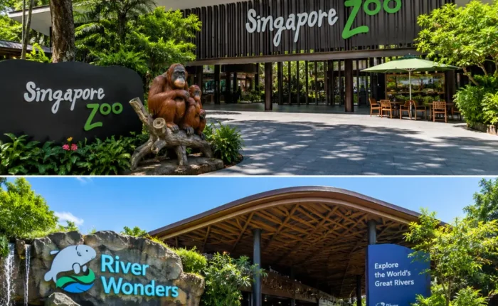 Singapore Zoo and River Wonders with lush rainforest greenery, calm waterways, and premium wildlife park atmosphere.