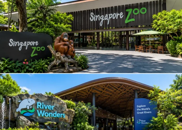 Singapore Zoo and River Wonders with lush rainforest greenery, calm waterways, and premium wildlife park atmosphere.