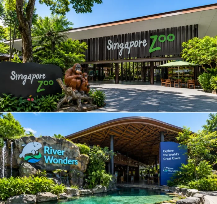 Singapore Zoo and River Wonders with lush rainforest greenery, calm waterways, and premium wildlife park atmosphere.