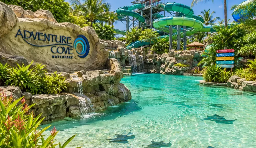 Adventure Cove Waterpark Singapore with tropical pools, water slides, palm trees, and bright morning resort atmosphere.