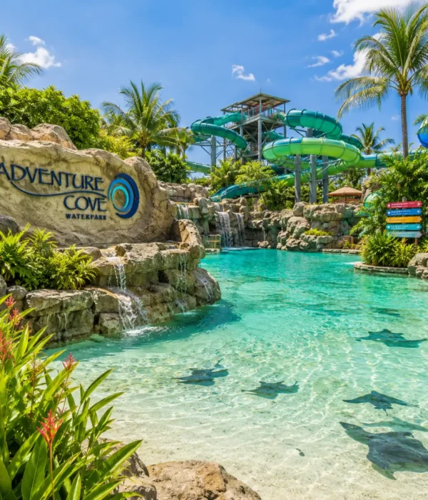 Adventure Cove Waterpark Singapore with tropical pools, water slides, palm trees, and bright morning resort atmosphere.