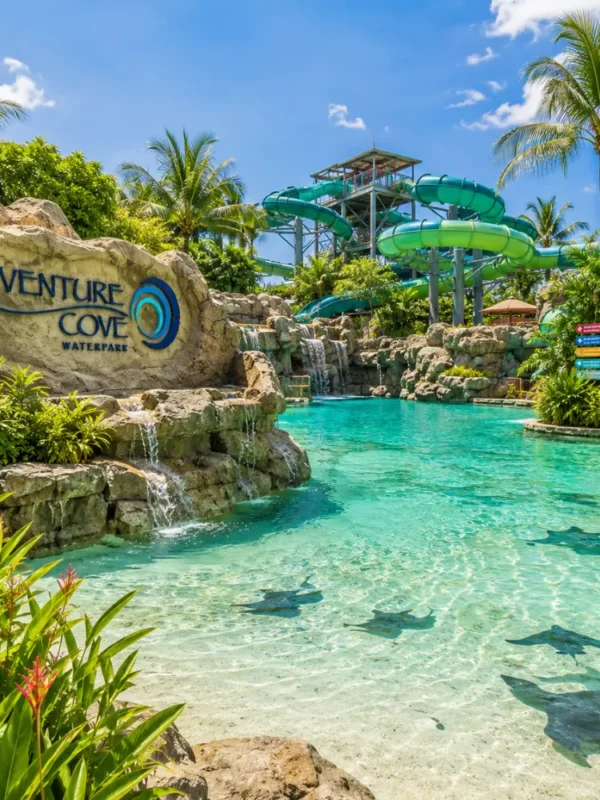 Adventure Cove Waterpark Singapore with tropical pools, water slides, palm trees, and bright morning resort atmosphere.
