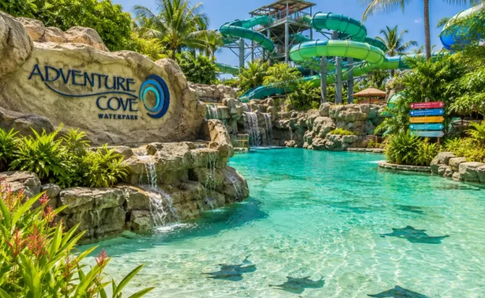Adventure Cove Waterpark Singapore with tropical pools, water slides, palm trees, and bright morning resort atmosphere.
