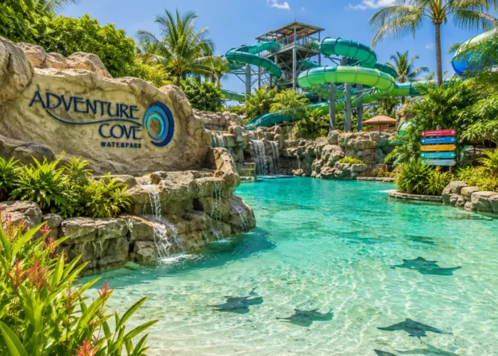 Adventure Cove Waterpark Singapore with tropical pools, water slides, palm trees, and bright morning resort atmosphere.