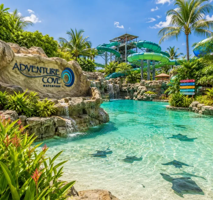 Adventure Cove Waterpark Singapore with tropical pools, water slides, palm trees, and bright morning resort atmosphere.