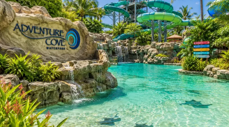 Adventure Cove Waterpark Singapore with tropical pools, water slides, palm trees, and bright morning resort atmosphere.