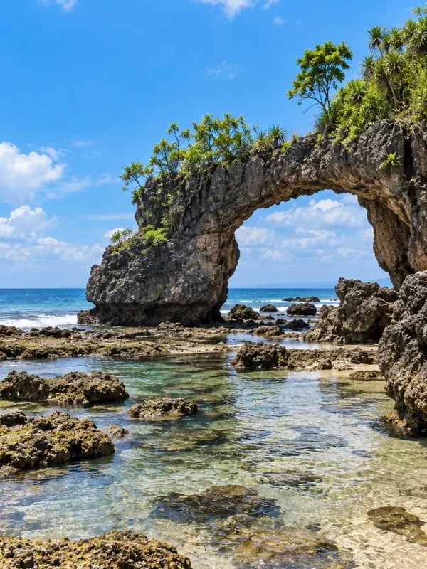 Andaman Grand Island Explorer featuring turquoise waters, tropical beaches, Havelock, Neil and Baratang Island scenery