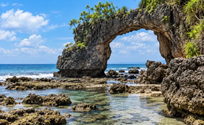 Andaman Grand Island Explorer featuring turquoise waters, tropical beaches, Havelock, Neil and Baratang Island scenery