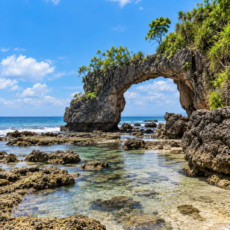Andaman Grand Island Explorer featuring turquoise waters, tropical beaches, Havelock, Neil and Baratang Island scenery