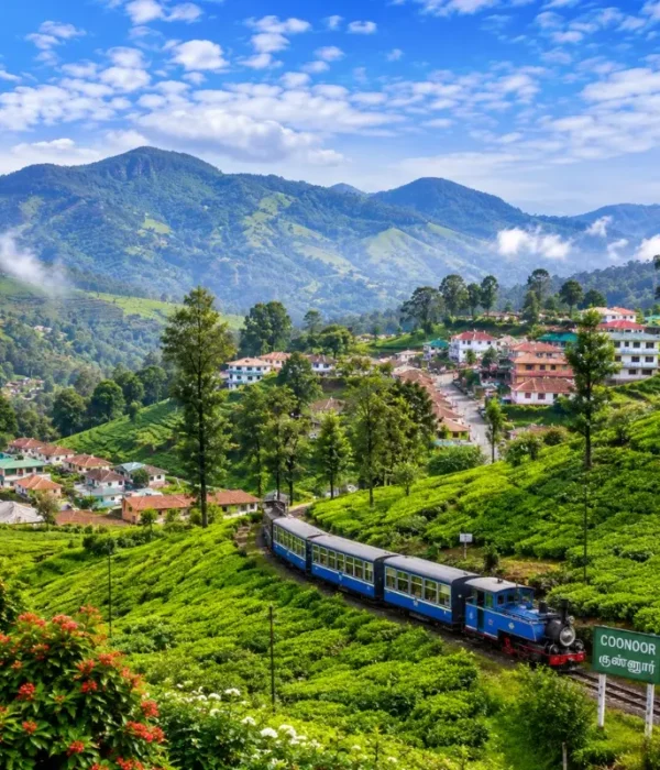 Bangalore Mysore Coorg Ooty Coonoor 6 Nights 7 Days bus tour package featuring Mysore Palace, Coorg coffee plantations, Ooty Lake, Coonoor tea gardens and scenic hill stations.