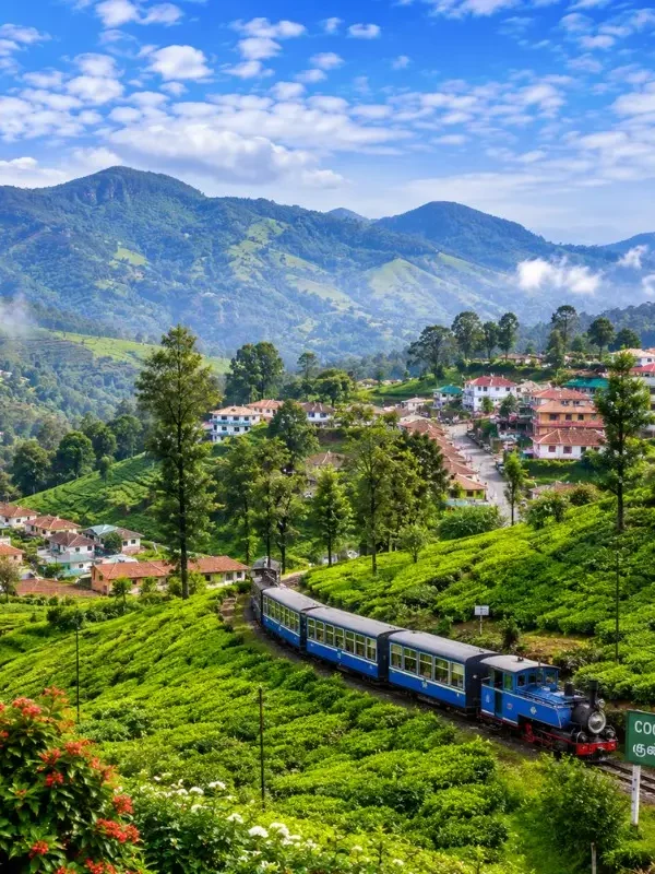 Bangalore Mysore Coorg Ooty Coonoor 6 Nights 7 Days bus tour package featuring Mysore Palace, Coorg coffee plantations, Ooty Lake, Coonoor tea gardens and scenic hill stations.
