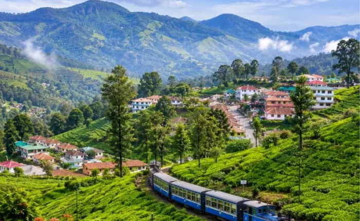 Bangalore Mysore Coorg Ooty Coonoor 6 Nights 7 Days bus tour package featuring Mysore Palace, Coorg coffee plantations, Ooty Lake, Coonoor tea gardens and scenic hill stations.