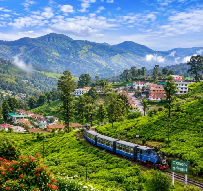 Bangalore Mysore Coorg Ooty Coonoor 6 Nights 7 Days bus tour package featuring Mysore Palace, Coorg coffee plantations, Ooty Lake, Coonoor tea gardens and scenic hill stations.